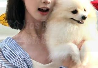 ios下载“91吃瓜群众”苹果版，轻松获取最新热点信息！